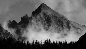 Preview wallpaper mountain, fog, trees, black and white