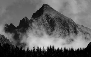 Preview wallpaper mountain, fog, trees, black and white