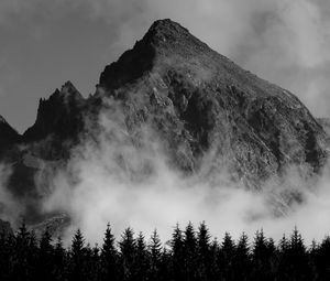 Preview wallpaper mountain, fog, trees, black and white