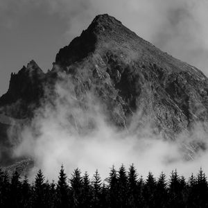 Preview wallpaper mountain, fog, trees, black and white