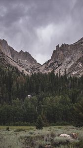 Preview wallpaper mountain, foot, trees, nature, landscape