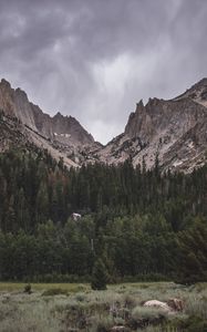 Preview wallpaper mountain, foot, trees, nature, landscape