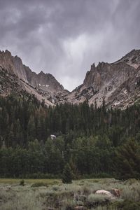 Preview wallpaper mountain, foot, trees, nature, landscape