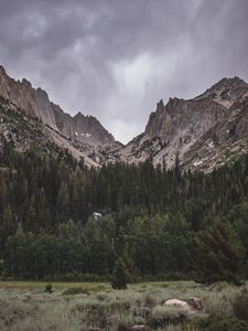 Preview wallpaper mountain, foot, trees, nature, landscape