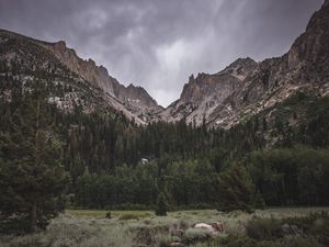 Preview wallpaper mountain, foot, trees, nature, landscape