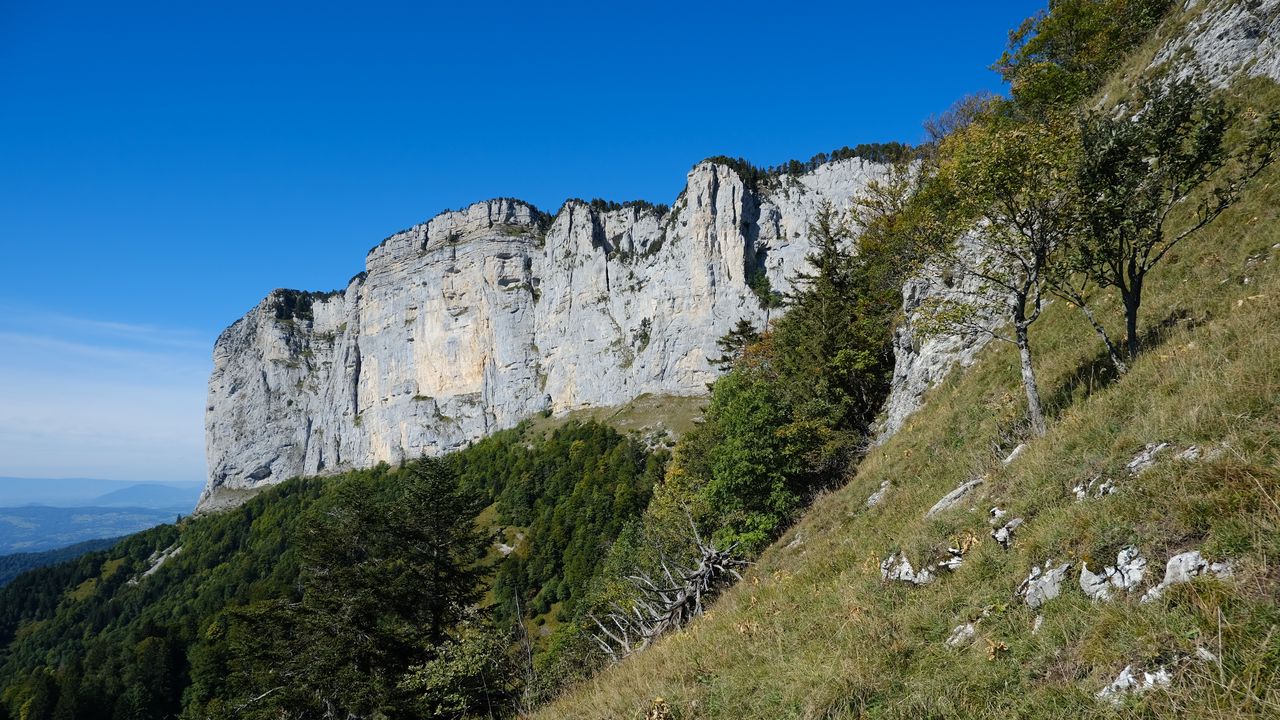 Wallpaper mountain, foothills, cliff, trees, landscape hd, picture, image