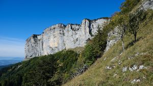 Preview wallpaper mountain, foothills, cliff, trees, landscape