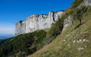 Preview wallpaper mountain, foothills, cliff, trees, landscape