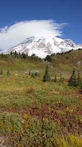 Preview wallpaper mountain, foothills, snow, trees, nature, landscape