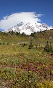 Preview wallpaper mountain, foothills, snow, trees, nature, landscape