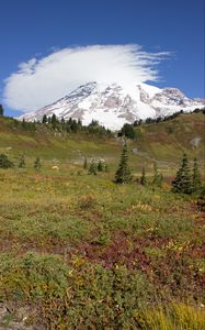 Preview wallpaper mountain, foothills, snow, trees, nature, landscape