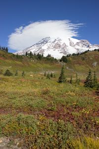Preview wallpaper mountain, foothills, snow, trees, nature, landscape
