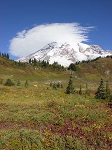 Preview wallpaper mountain, foothills, snow, trees, nature, landscape