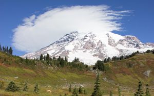 Preview wallpaper mountain, foothills, snow, trees, nature, landscape