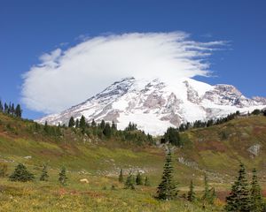 Preview wallpaper mountain, foothills, snow, trees, nature, landscape