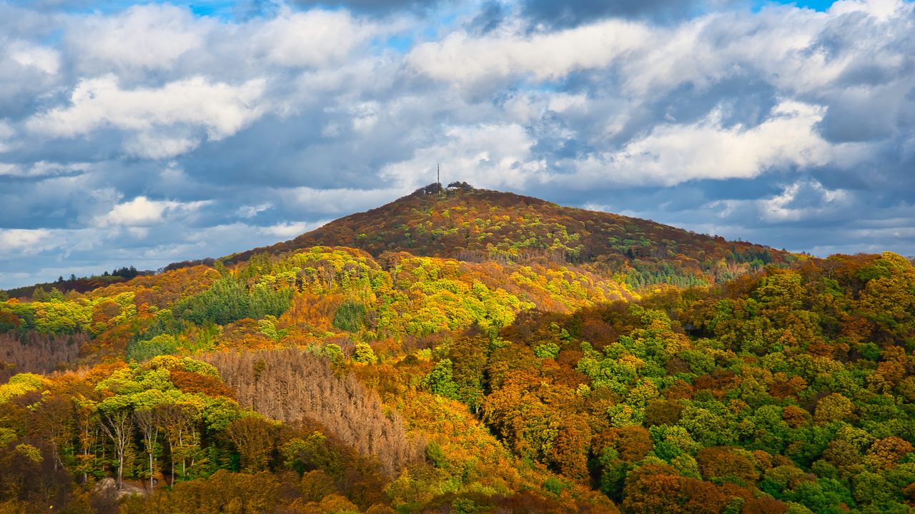 Wallpaper mountain, forest, aerial view, nature