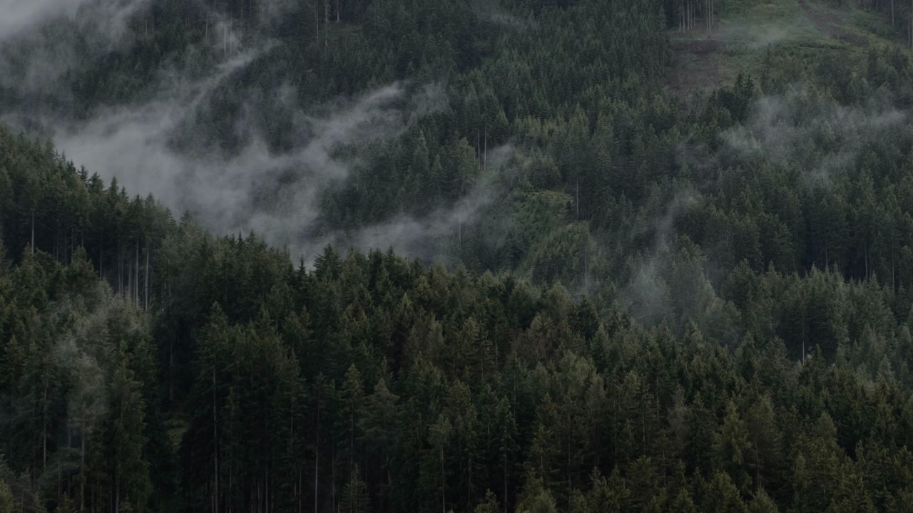 Wallpaper mountain, forest, clouds, trees, slope