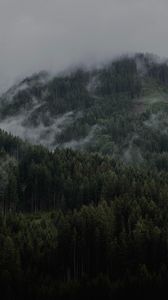 Preview wallpaper mountain, forest, clouds, trees, slope