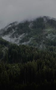 Preview wallpaper mountain, forest, clouds, trees, slope