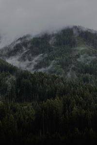 Preview wallpaper mountain, forest, clouds, trees, slope
