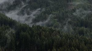 Preview wallpaper mountain, forest, clouds, trees, slope