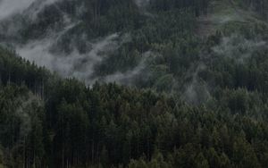 Preview wallpaper mountain, forest, clouds, trees, slope