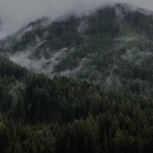 Preview wallpaper mountain, forest, clouds, trees, slope