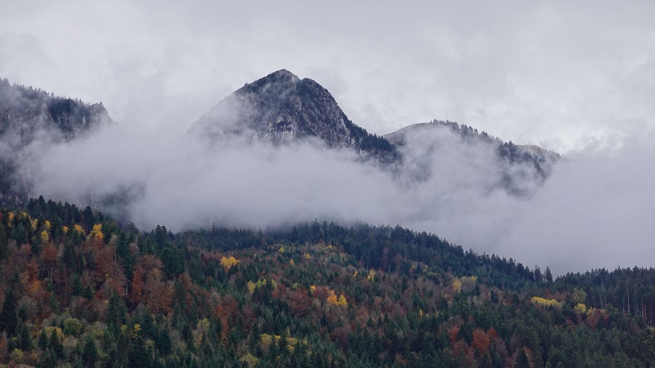 Wallpaper mountain, forest, clouds, landscape