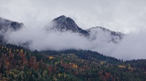 Preview wallpaper mountain, forest, clouds, landscape