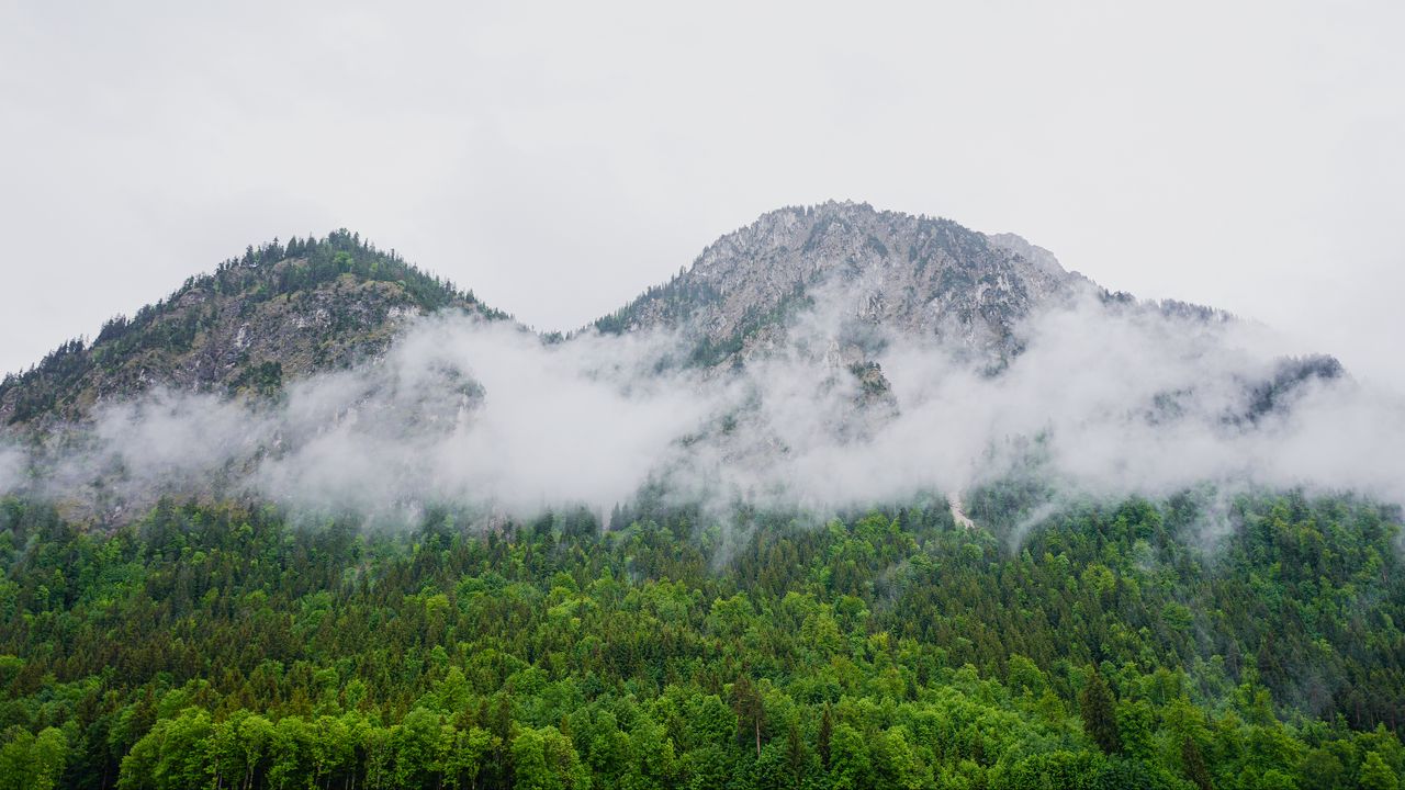 Wallpaper mountain, forest, clouds, trees