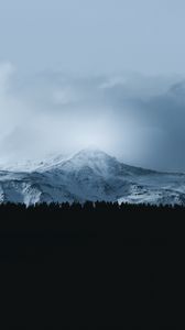 Preview wallpaper mountain, forest, fog, peak, clouds, landscape