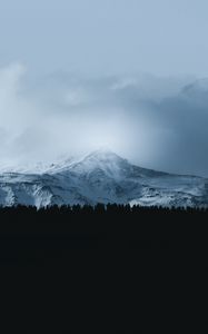 Preview wallpaper mountain, forest, fog, peak, clouds, landscape