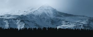 Preview wallpaper mountain, forest, fog, peak, clouds, landscape