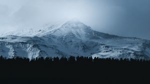 Preview wallpaper mountain, forest, fog, peak, clouds, landscape