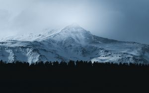 Preview wallpaper mountain, forest, fog, peak, clouds, landscape