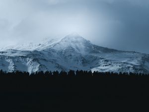 Preview wallpaper mountain, forest, fog, peak, clouds, landscape