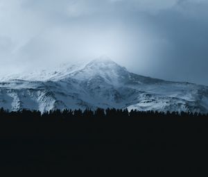 Preview wallpaper mountain, forest, fog, peak, clouds, landscape