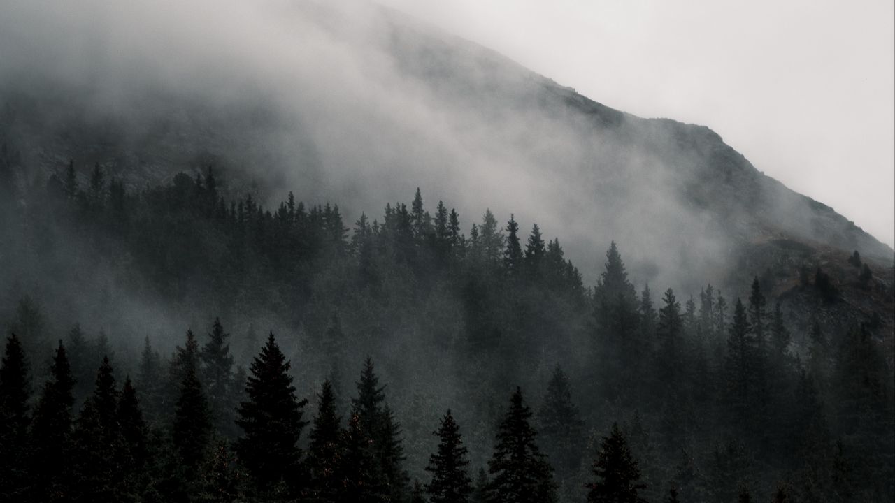 Wallpaper mountain, forest, fog, nature, landscape