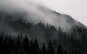 Preview wallpaper mountain, forest, fog, nature, landscape