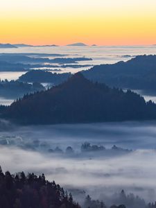 Preview wallpaper mountain, forest, hills, fog, view, landscape