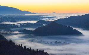 Preview wallpaper mountain, forest, hills, fog, view, landscape
