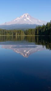 Preview wallpaper mountain, forest, lake, landscape, nature, reflection