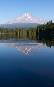 Preview wallpaper mountain, forest, lake, landscape, nature, reflection