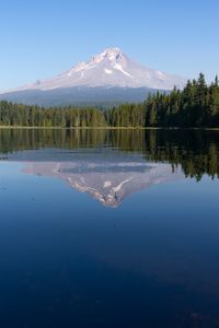 Preview wallpaper mountain, forest, lake, landscape, nature, reflection