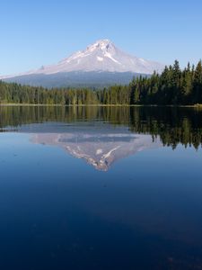 Preview wallpaper mountain, forest, lake, landscape, nature, reflection