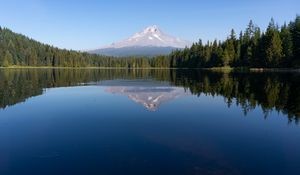 Preview wallpaper mountain, forest, lake, landscape, nature, reflection
