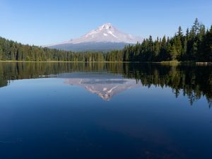 Preview wallpaper mountain, forest, lake, landscape, nature, reflection