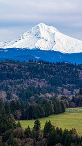 Preview wallpaper mountain, forest, landscape, view