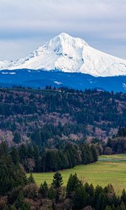 Preview wallpaper mountain, forest, landscape, view