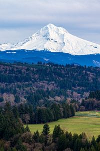 Preview wallpaper mountain, forest, landscape, view